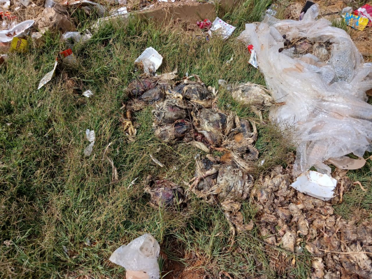 DA lays charges over Nala dumpsite as health crisis, service collapse worsen.