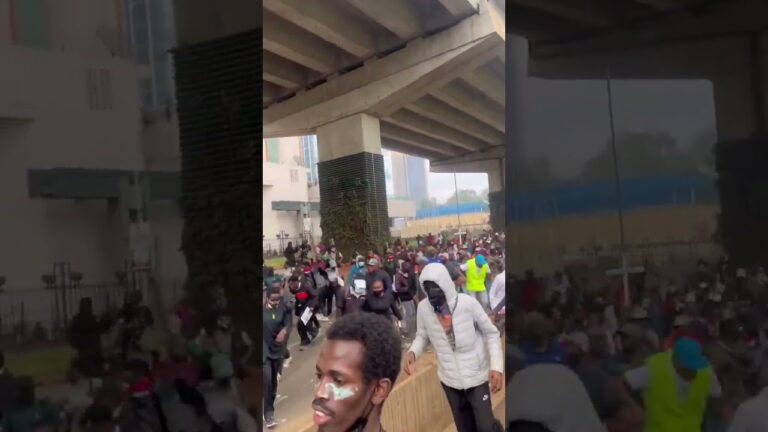 Kenyan youth protest corruption, brutality, joblessness and demand president Ruto resign.