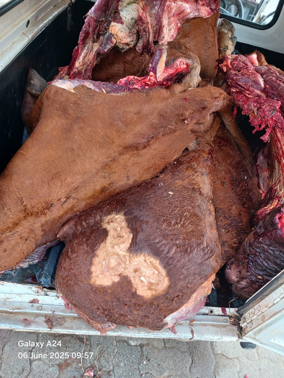 POLICE ARREST FOUR IN CONNECTION WITH STOCK THEFT