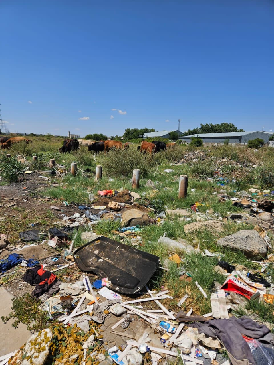 Mangaung communities choked by filth as ANC fails to act 