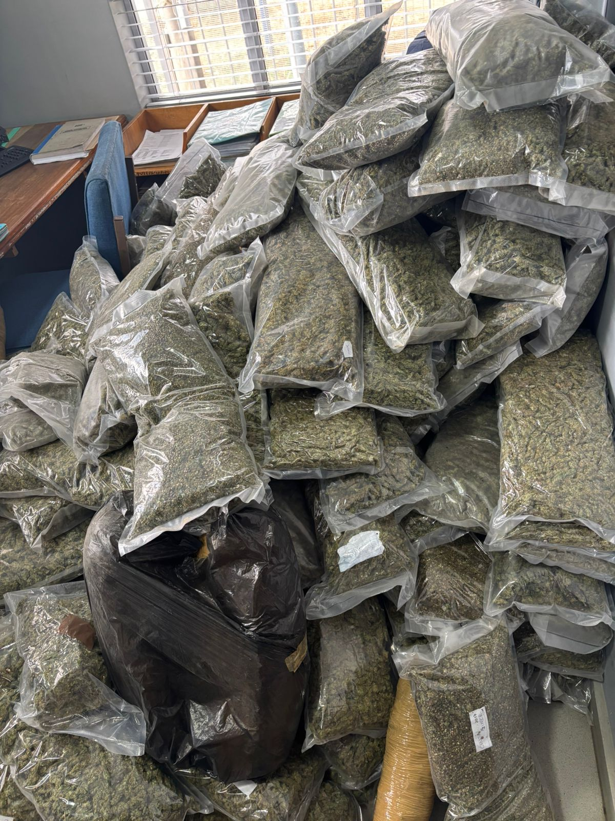 SUSPECT ARRESTED AND DAGGA WORTH R260 000 SEIZED IN WARDEN