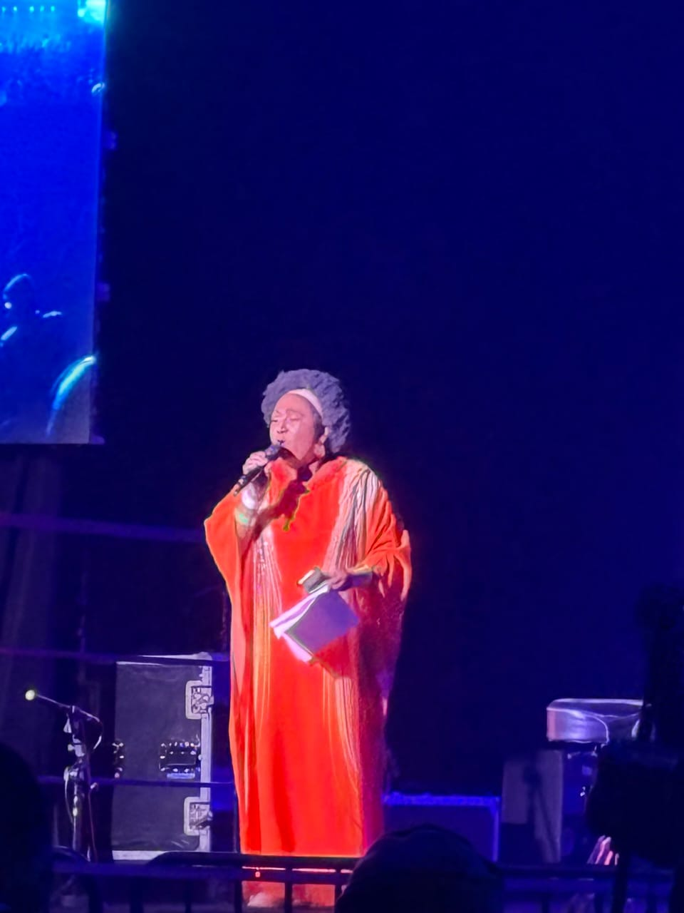 Joy of Jazz 2025: Joburg’s Heartbeat by Nonn Botha