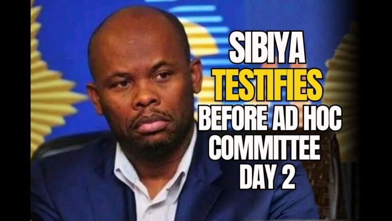 Sibiya Faces Tough Questions from MPs | Ad Hoc Committee Hearing | 14 OCTOBER 2025