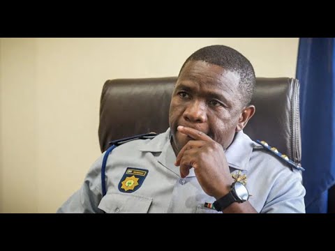 Mkhwanazi Revisits July Unrest Failures at SAHRC Hearing (REWIND) | MDNtv