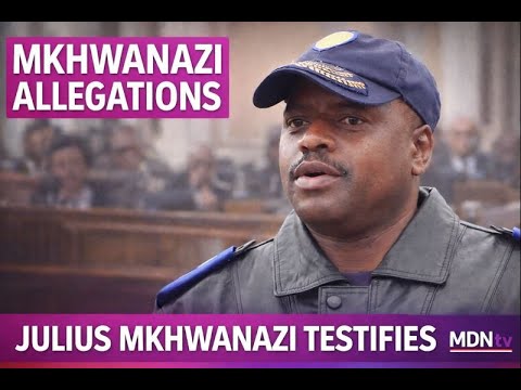 AD HOC COMMITTEE PROBES MKHWANAZI ALLEGATIONS | JULIUS MKHWANAZI TESTIFIES | 22 JAN 2026