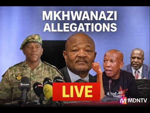MKHWANAZI ALLEGATIONS | AD HOC COMMITTEE HEARINGS LIVE | PARLIAMENT | 29 JANUARY 2026