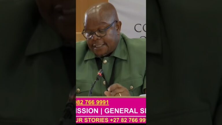 Senona alleges General Mkhwanazi offered to drop Cat Matlala case for info implicating Gen Sibiya.