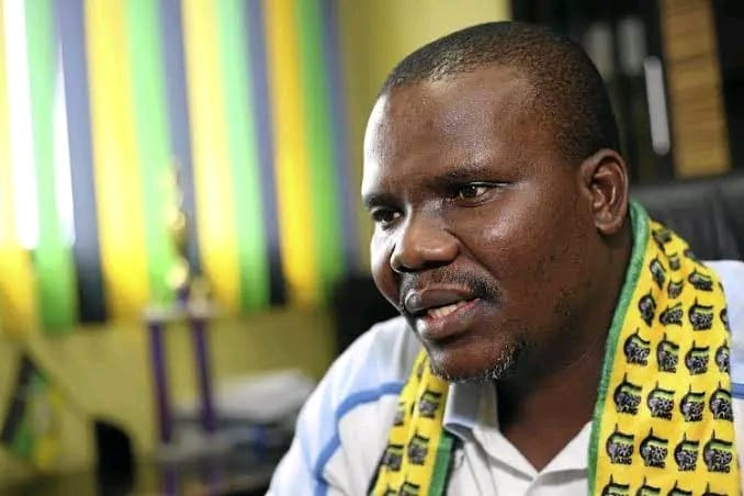 ANC Chief Whip Mdumiseni Ntuli Has Defended National Assembly Speaker Thoko Didiza Over Refusal To Subpoena Paul O’Sullivan and Businessman Brown Mogotsi