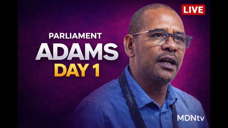 FADIEL ADAMS APPEARS BEFORE PARLIAMENT AD HOC COMMITTEE | 04 MARCH 2026