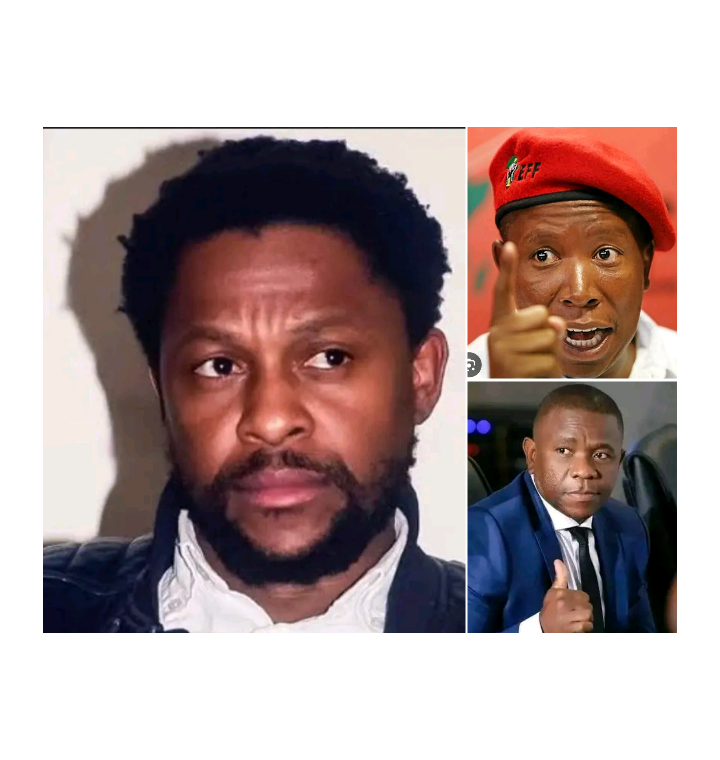 ‘Hands Off Gen Mkhwanazi’, Ndlozi Urges Protection of KZN Police Chief After Malema Attack