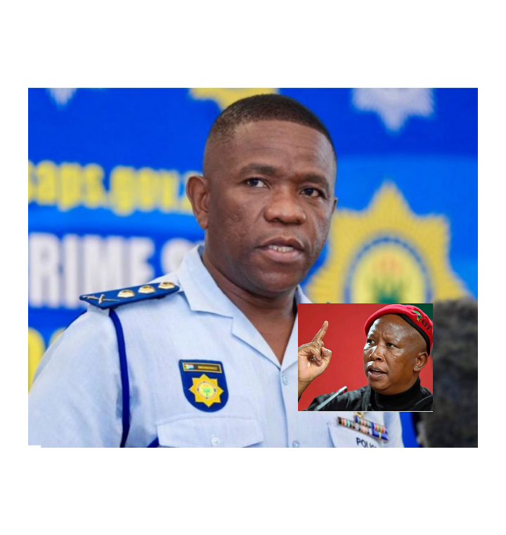 South Africans are not stupid