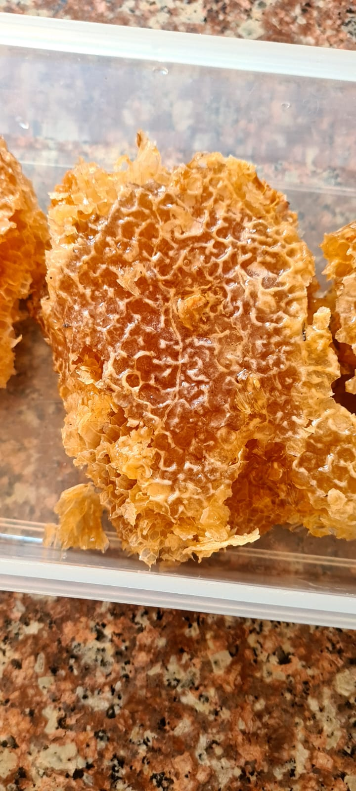 Meet Mhlekiseni Ngubane The Umlazi Honey Entrepreneur Turning Childhood Passion Into Business