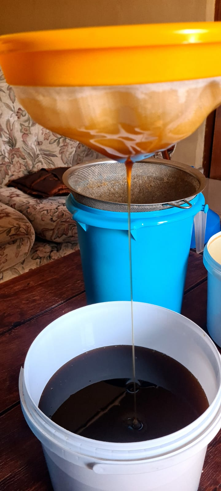 Meet Mhlekiseni Ngubane The Umlazi Honey Entrepreneur Turning Childhood Passion Into Business