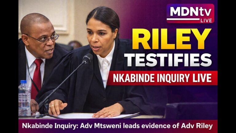 ๐ด LIVE: ADV DAVID MTSWENI LEADS EVIDENCE OF ADV SHIREEN RILEY | NKABINDE INQUIRY CONTINUES