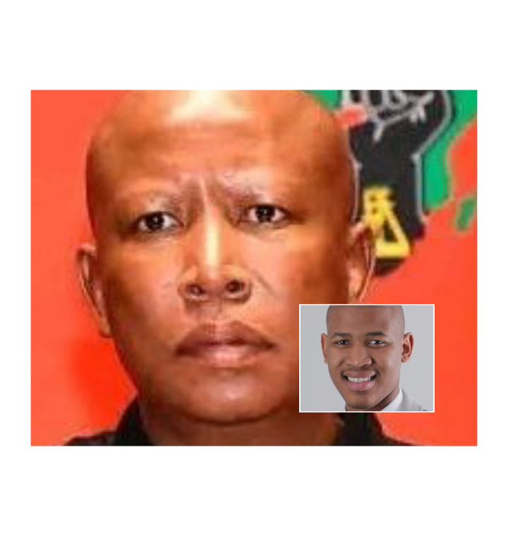 Ze Nxumalo Denies Allegations Linking EFF Leader Julius Malema to Cash and Whiskey Handover