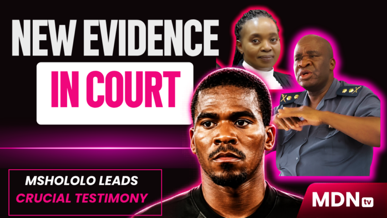 ADV ZANDILE MSHOLOLO LEADS GENERAL LESHABANE EVIDENCE IN SENZO MEYIWA TRIAL Zandile Mshololo