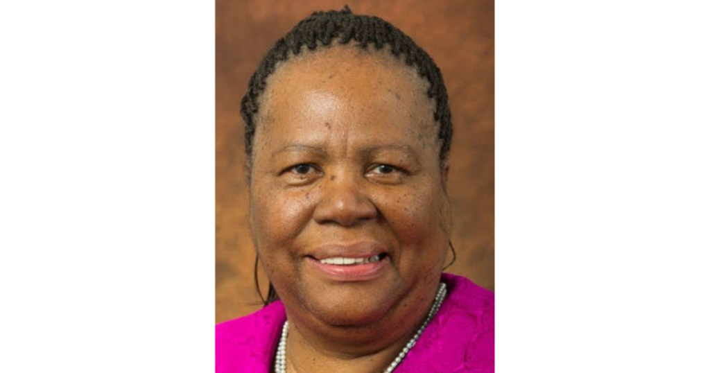 Naledi Pandor robbery