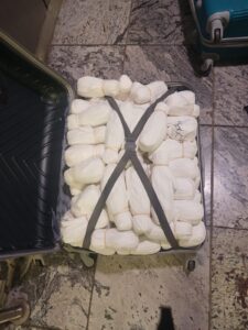 Dutch drug mule arrested
