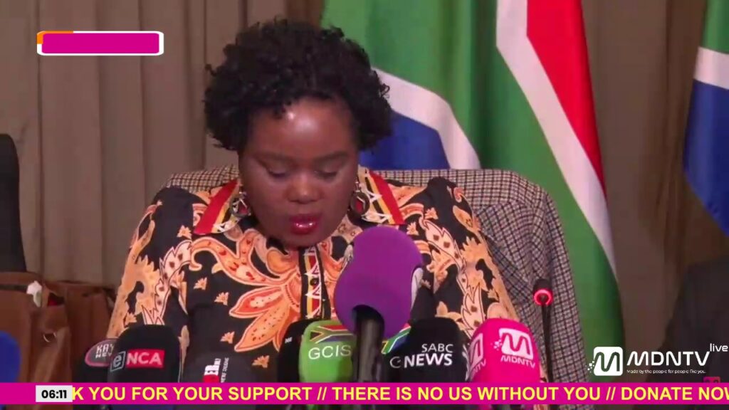 South Africa immigration protests