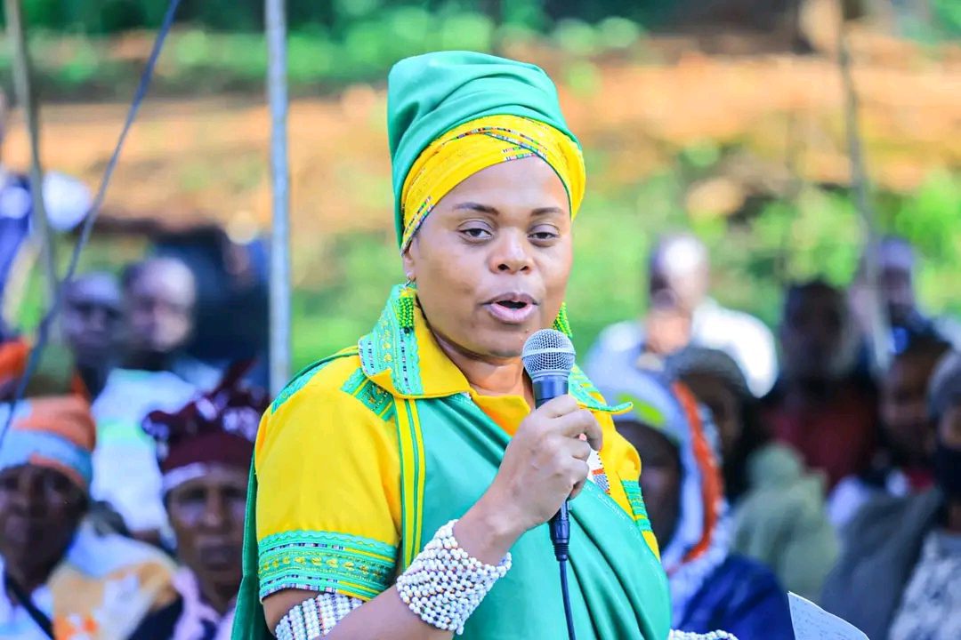 Limpopo Premier
