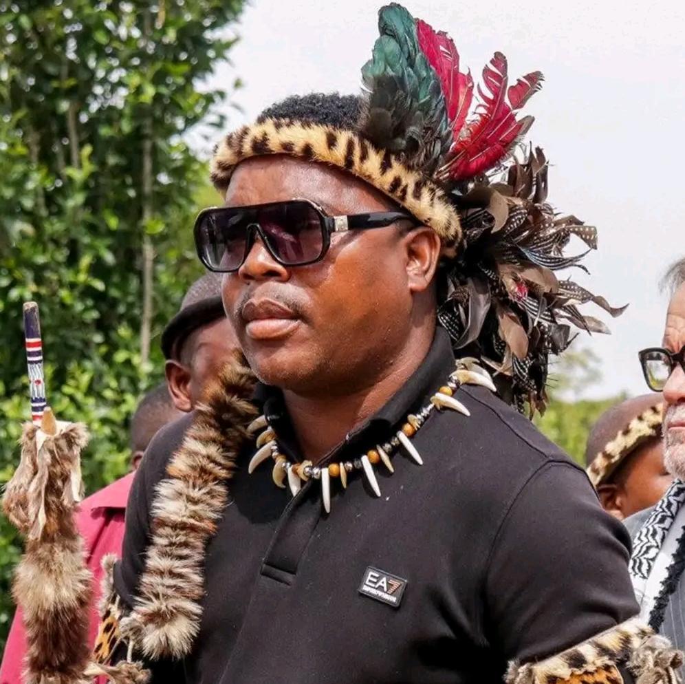 Ngizwe Mchunu