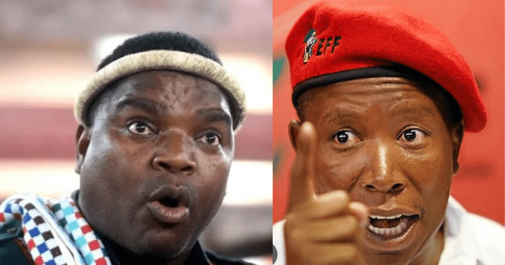 Ngizwe Mchunu Faces Arrest After High Court Finds Him Guilty of Contempt in Julius Malema Case