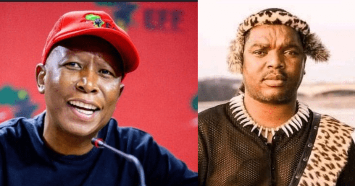 Julius Malema, Ngizwe Mchunu