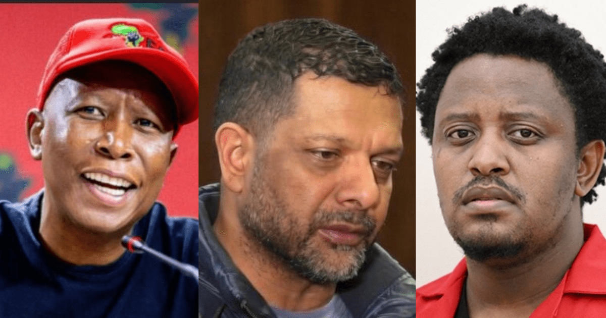 EFF defends Malema amid Madlanga Commission revelations over police WhatsApp communications