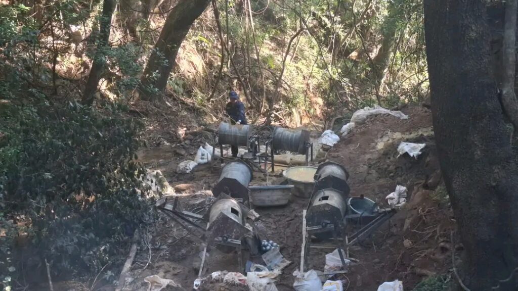 Operation Vala Umgodi