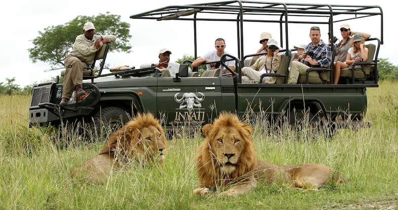 South Africa wildlife tourism