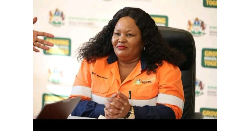 Mbali Shinga