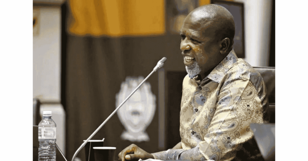 Senzo Mchunu, Soviet Lekganyane, Ad Hoc Committee, Senzo Mchunu investigation, SAPS investigation, Nhlanhla Mkhwanazi, Parliament South Africa,