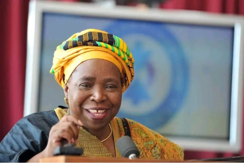 Dlamini Zuma Responds to Mbalula’s Court Action: "Money is Killing the ANC"