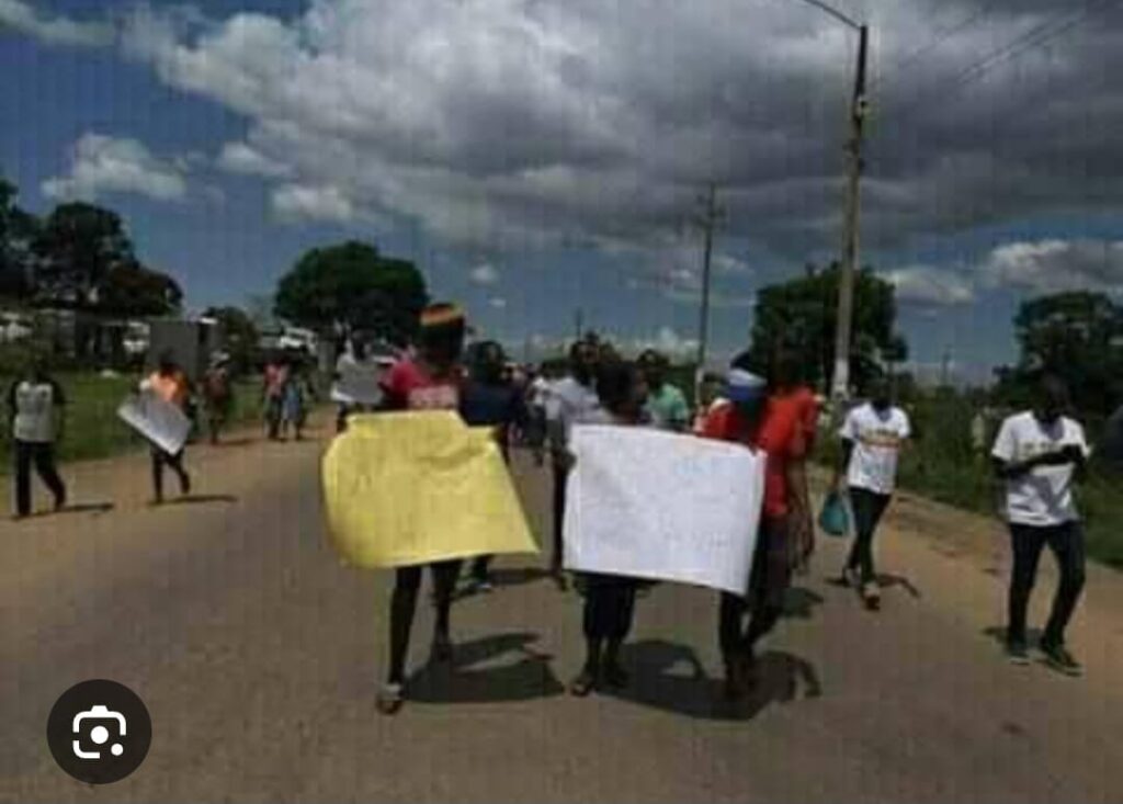 Zimbabwe national shutdown, Emmerson Mnangagwa