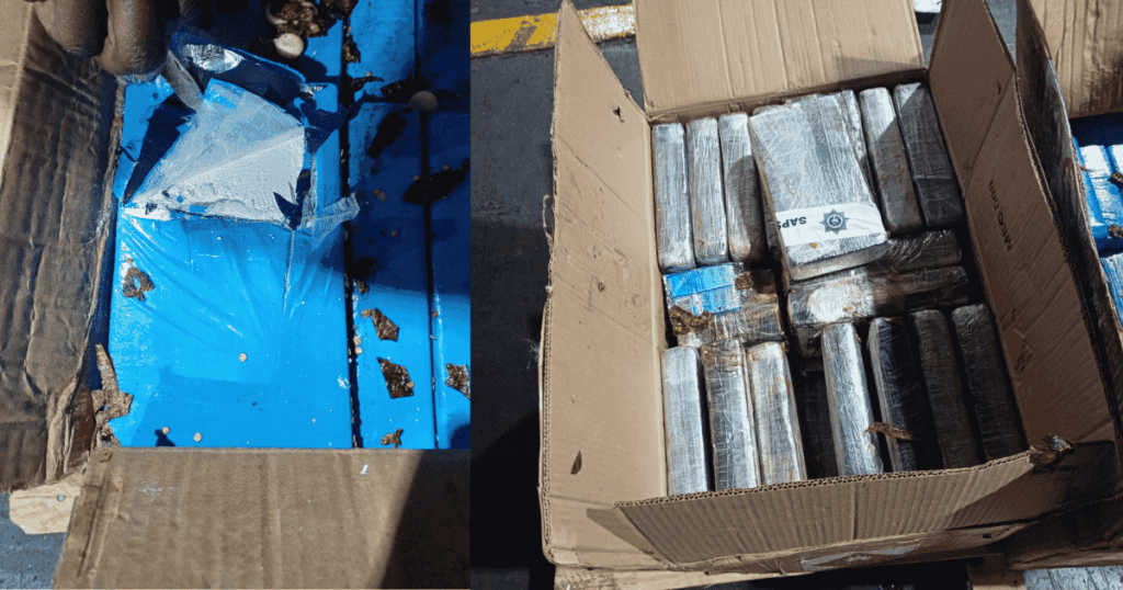 OR Tambo Airport cocaine seizure