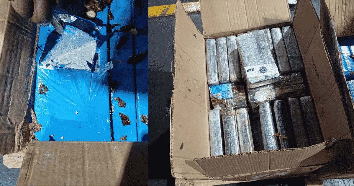 OR Tambo Airport cocaine seizure