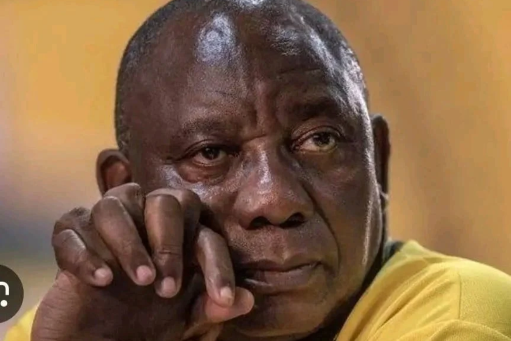 ANC to take IEC candidate glitch fight to Electoral Court