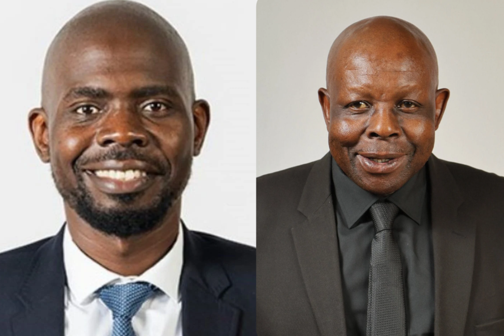 Didiza rejects MK Party's call to remove Makashule Gana as impeachment committee chair