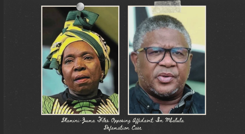 Dlamini-Zuma Files Opposing Affidavit In Mbalula Defamation Case