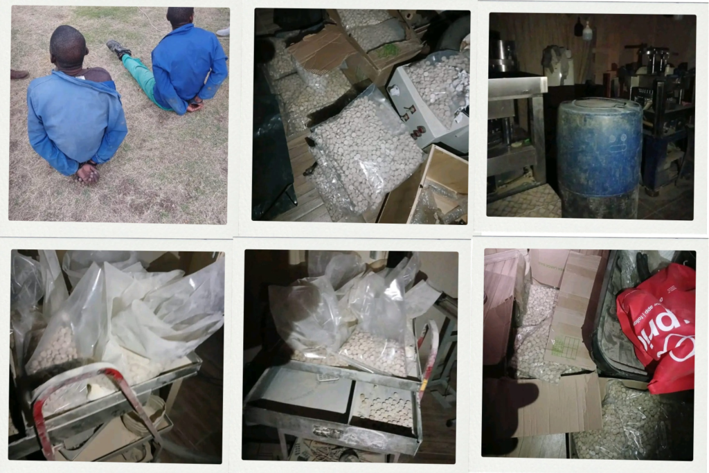 Foreign Nationals Arrested for Manufacturing Drugs