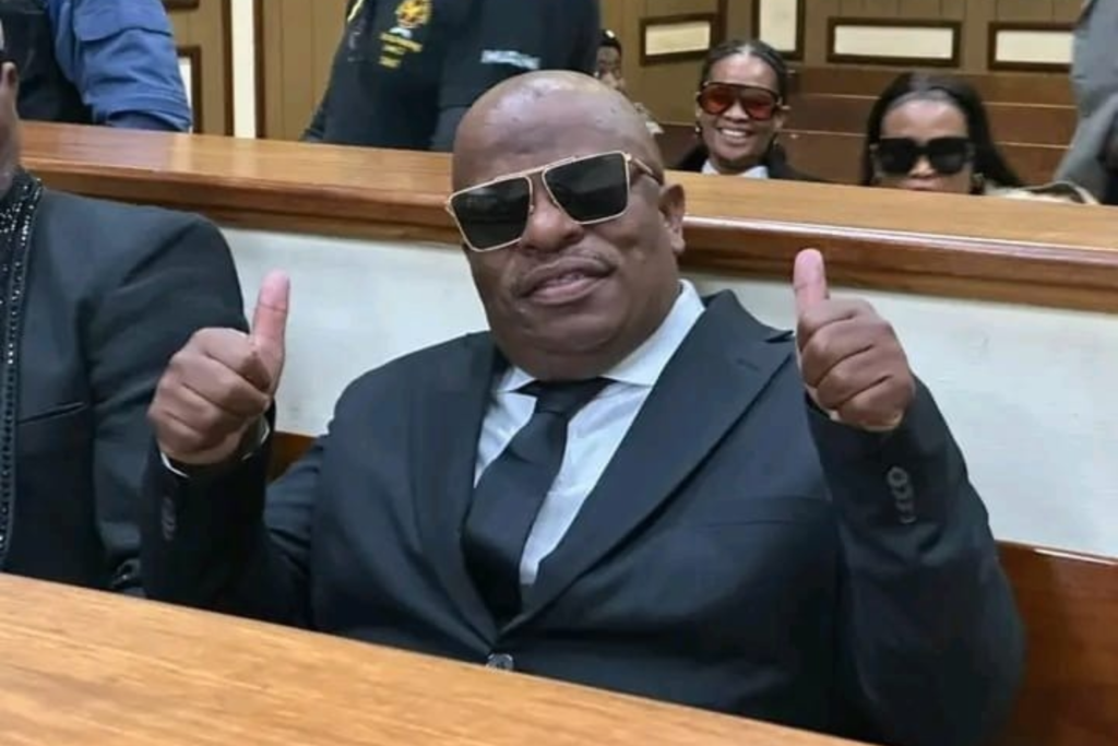 Madlanga Commission Rejects Bafana Sindane Postponement Bid