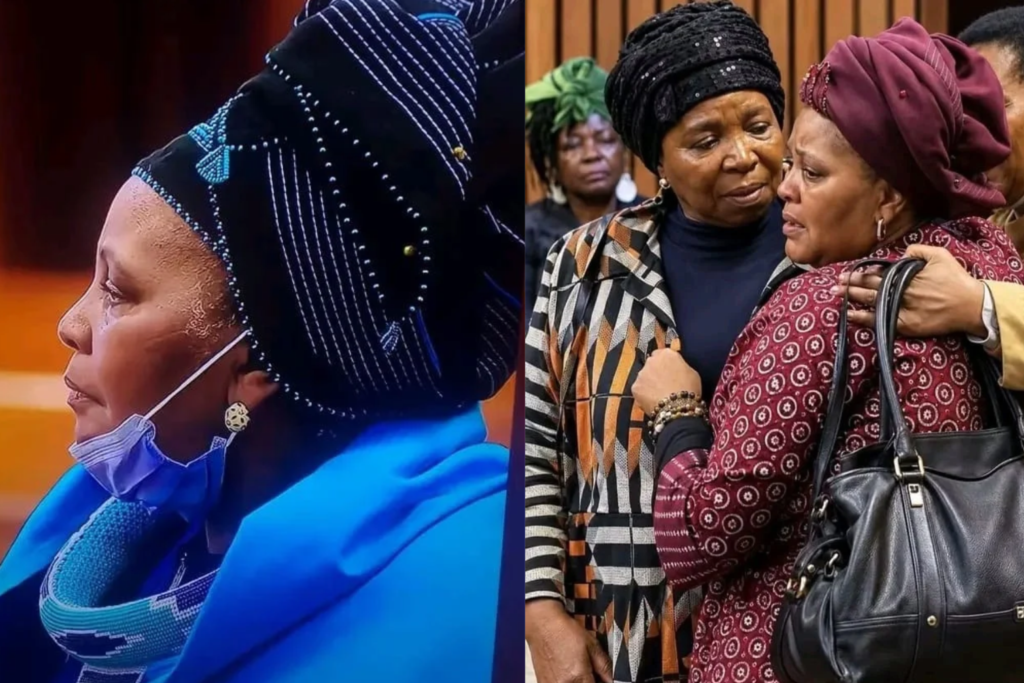: Mapisa-Nqakula Corruption Trial Postponed Again After Illness