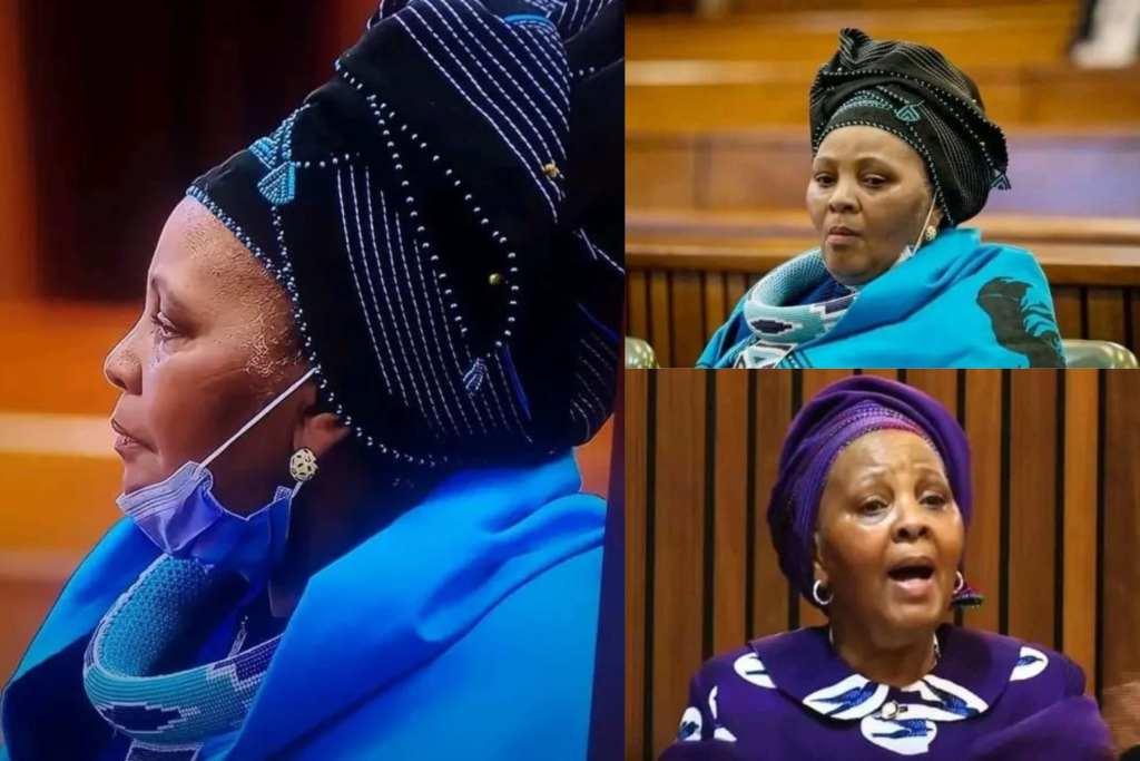 Mapisa-Nqakula Testimony Interrupted as Former Speaker Seeks Urgent Medical Attention
