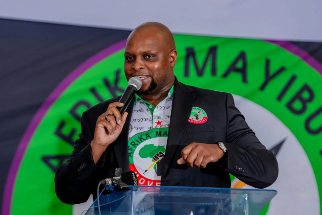 Shivambu Pledges Municipal Debt Write-Off For Poor Households