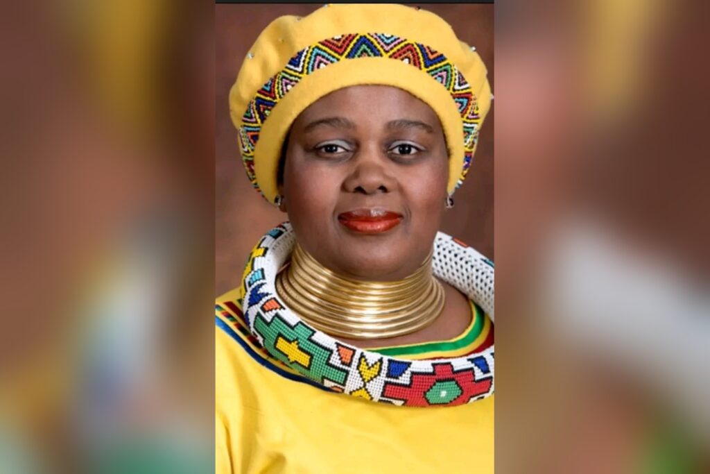 ConCourt Asylum Ruling Concerns Procedures, Conveys No Voting Rights, Clarifies IMC Chairperson Mmamoloko Kubayi