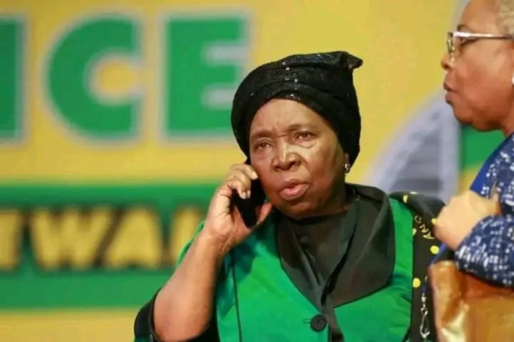 Dlamini-Zuma Takes Aim at ANC Internal Funding After Scoring High Court Victory