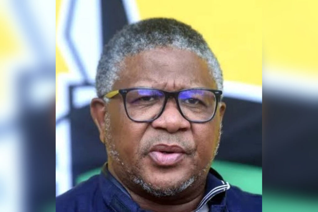 High Court Orders Oral Testimony in High-Stakes Mbalula, Dlamini-Zuma Defamation Clash