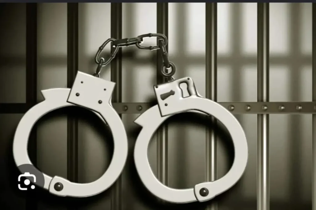 Three Arrested After Cannabis Cultivation Lab Uncovered in Paarl
