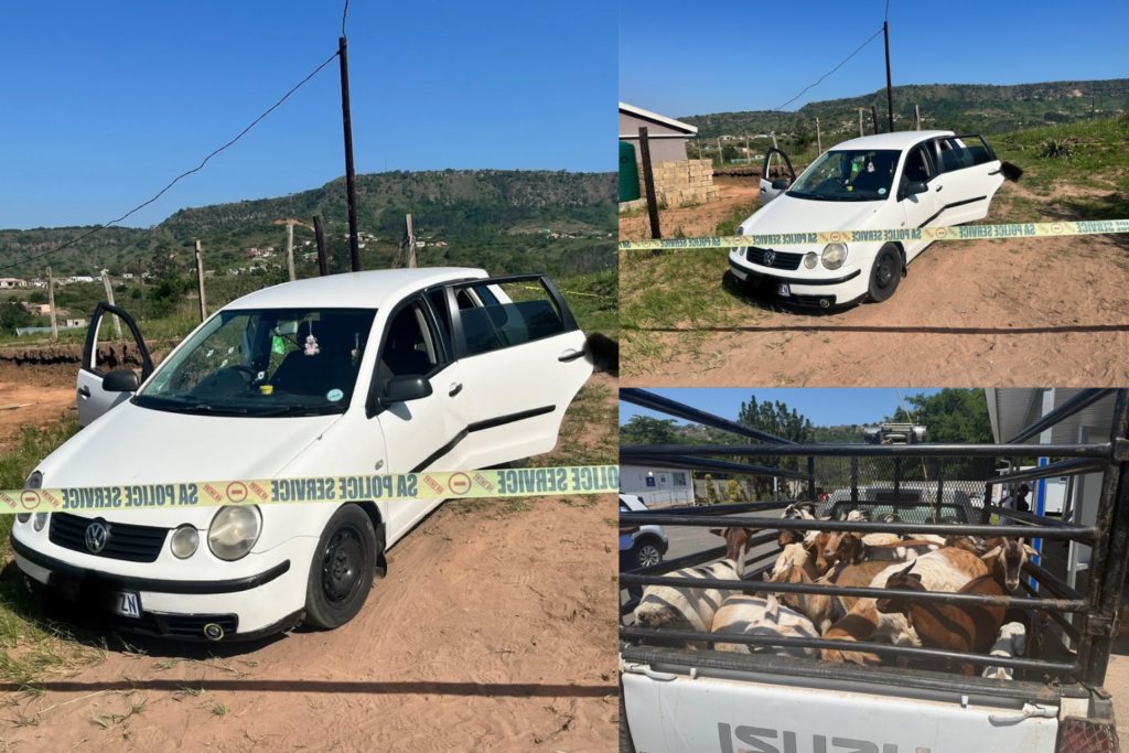 Two Wanted Murder Suspects Killed, 30 Stolen Goats Recovered in KZN Police Shootout