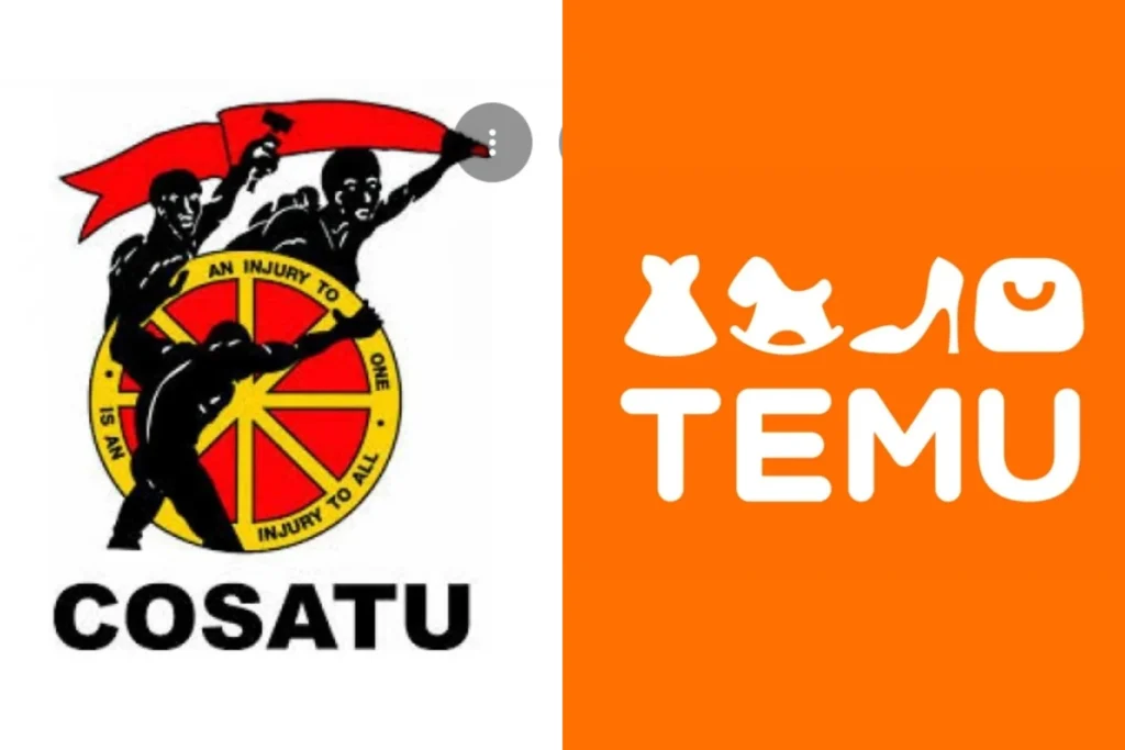 Cosatu Backs Call To Ban Shein And Temu Over Job Losses